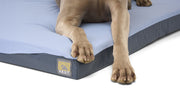 HEST Dog Bed